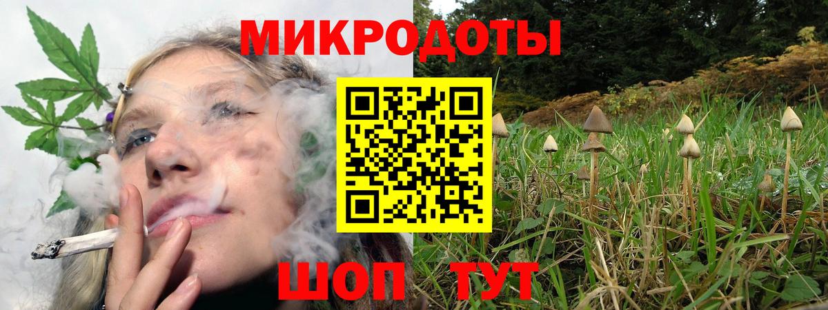 Псилоцибиновые грибы прущие грибы Солнечногорск